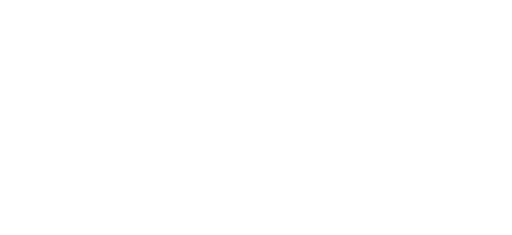 logo that says hudson animal hospital in white font with a dog and cat